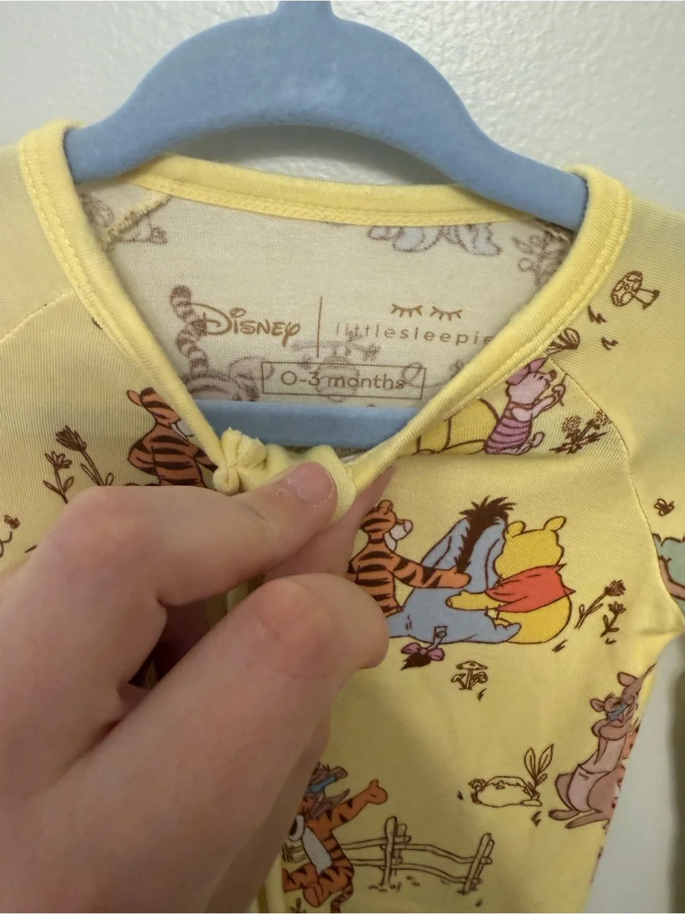 Little Sleepies Winnie the Pooh Zippy